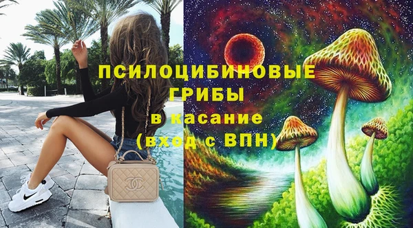 трава Осинники